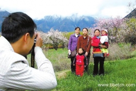 林芝桃花节拉开西藏春节旅游序幕