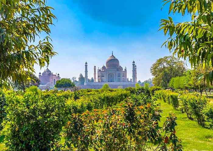 從月亮公園欣賞泰姬陵的美景
