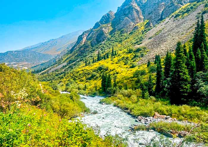 阿拉阿查国家公园