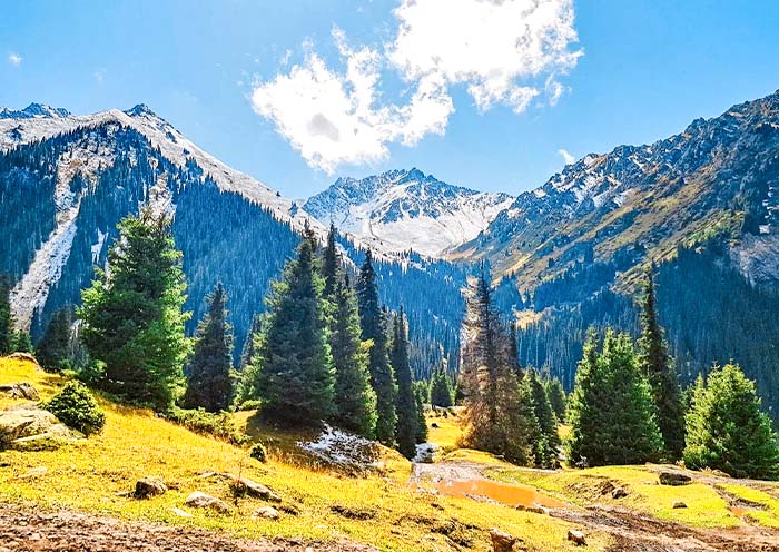 阿拉阿查国家公园