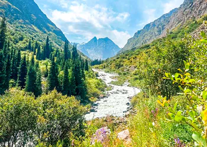 阿拉阿查国家公园