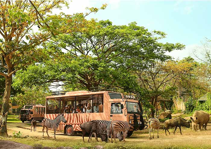 印尼峇里島7天家庭旅行(含野生動物園/水上樂園/烏布探索/努沙佩尼達島浮潛)
