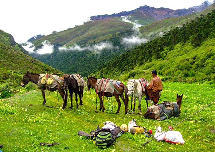 不丹11天深度之旅: 德魯克之路徒步+帕羅廷布普那卡名城巡禮