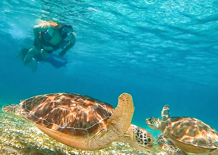 印尼峇里島吉利群島8天浪漫度假遊(追海豚·看日落·跳島浮潛)