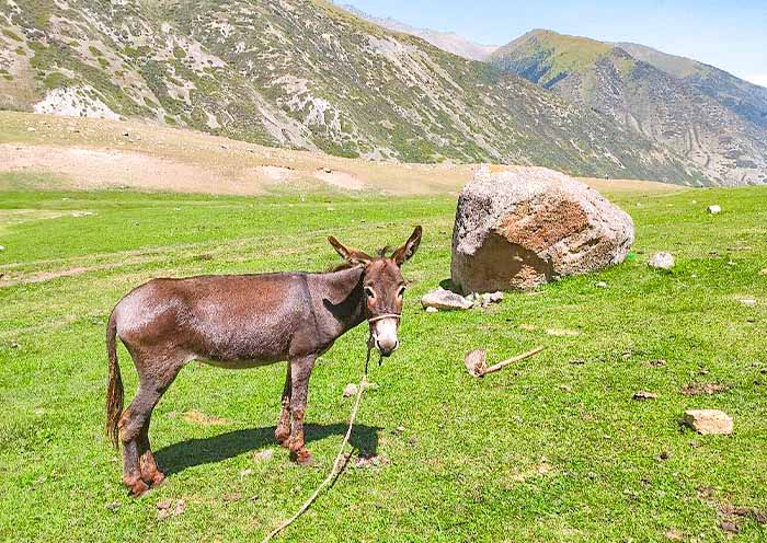 格里戈里耶夫峡谷
