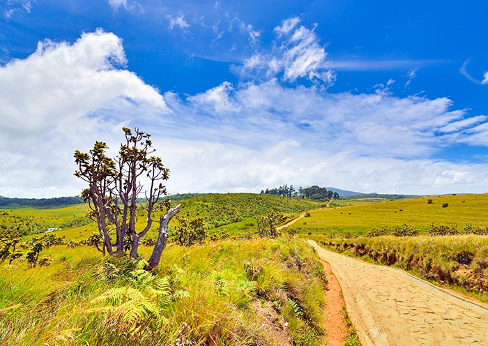 霍顿平原国家公园