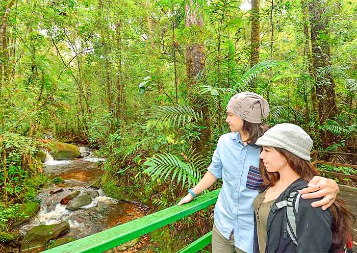 京那巴鲁国家公园