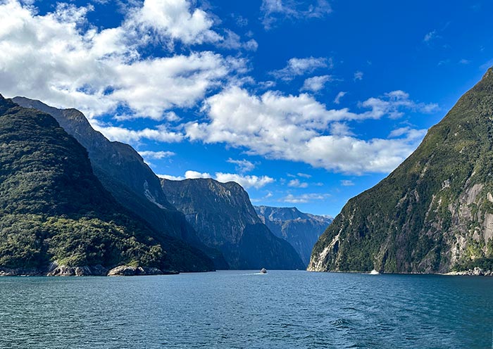 米尔福德峡湾