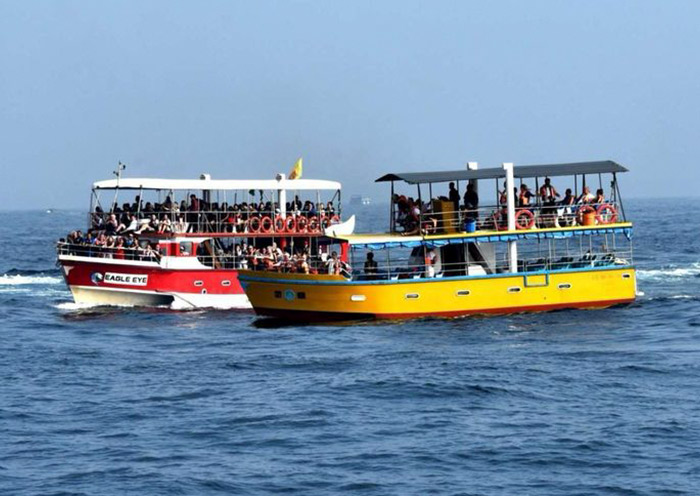 美蕊沙游船观鲸