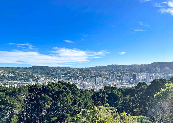 維多利亞⼭俯瞰威靈頓