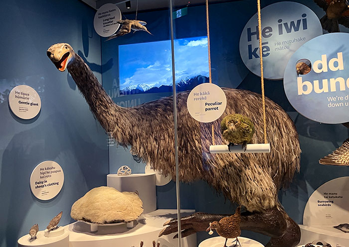 紐西蘭國⽴博物館