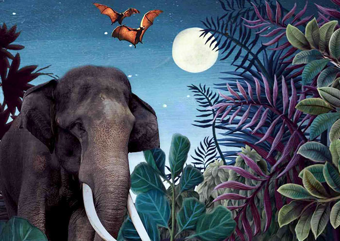 新加坡夜间野生动物园