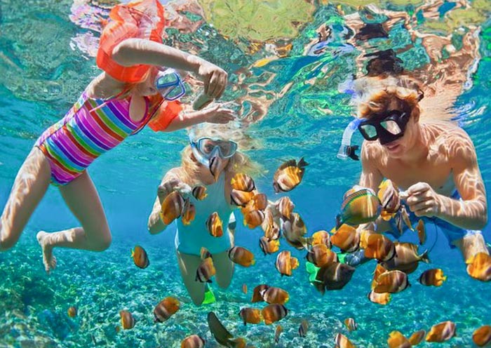 在努沙佩尼達島與海洋魚群共遊