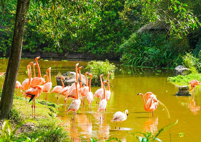 富国岛国家公园