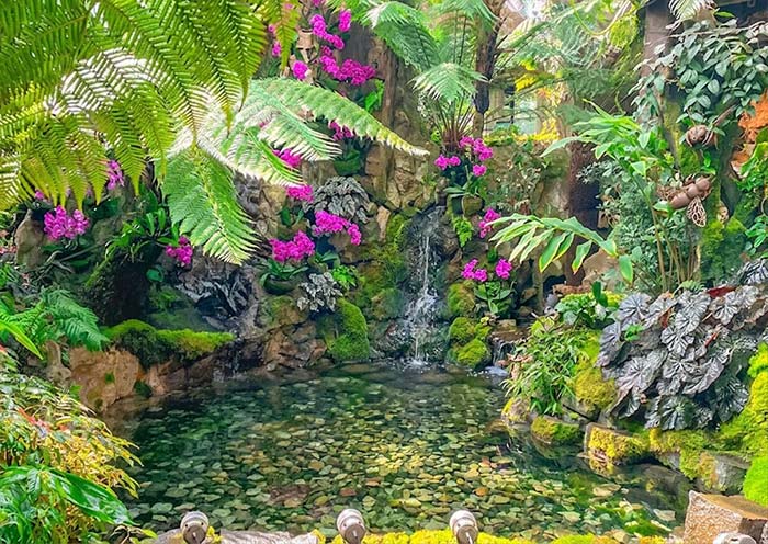 新加坡植物園