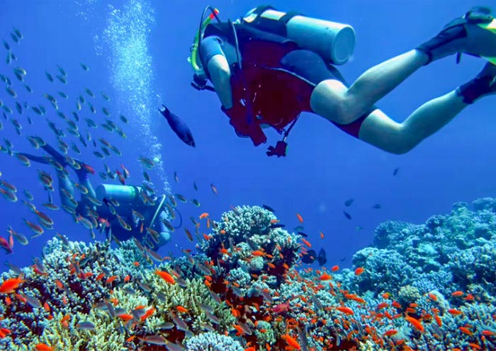 泰国潜水天堂
