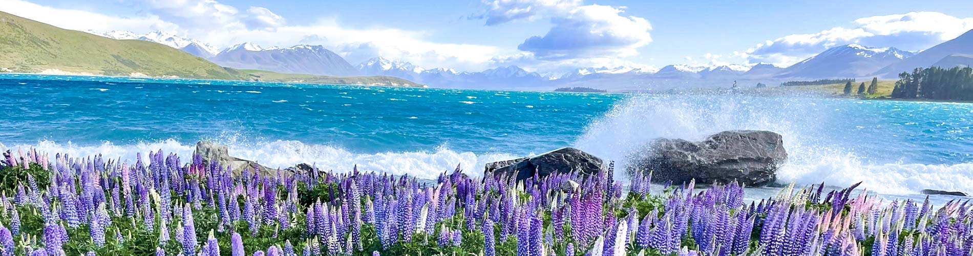 新西蘭旅遊