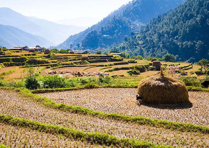 8-Day Bhutan Classic Tour with Haa Valley