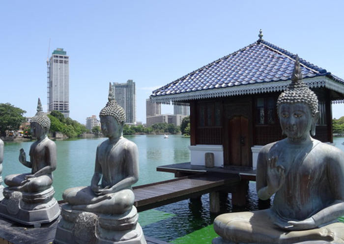 Viaje cultural a Sri Lanka