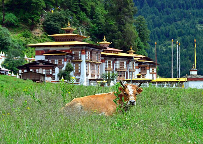 15-Day Tibet Nepal Bhutan Himalayan Exploration Tour