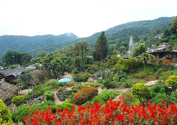 Viaje de descubrimiento a Chiang Mai y Chiang Rai