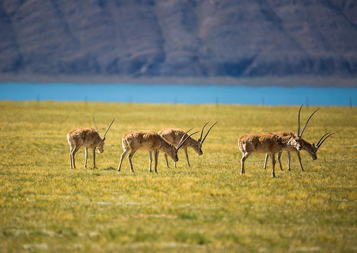 Day6-  The scenery on the road is also beautiful
