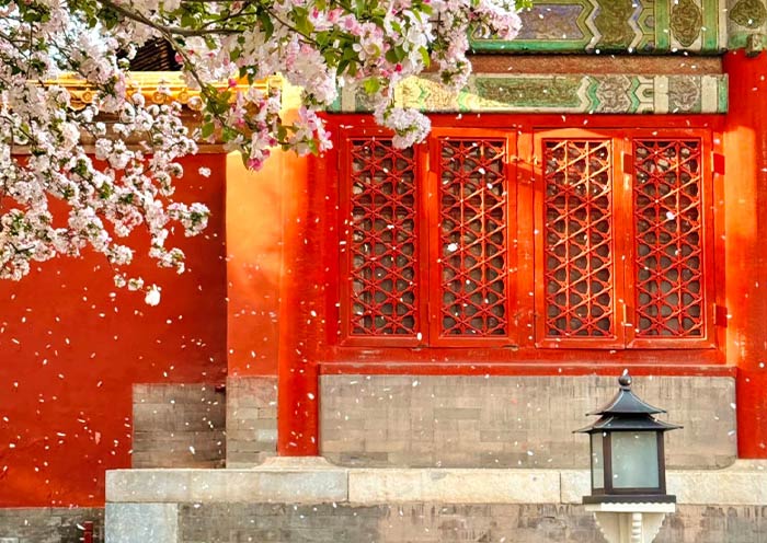 马来西亚出发北京5日游行程: 天安门+故宫+长城+孔庙国子监+胡同+CBD