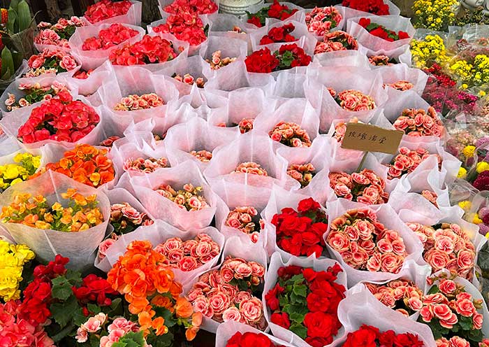 陳村花卉世界