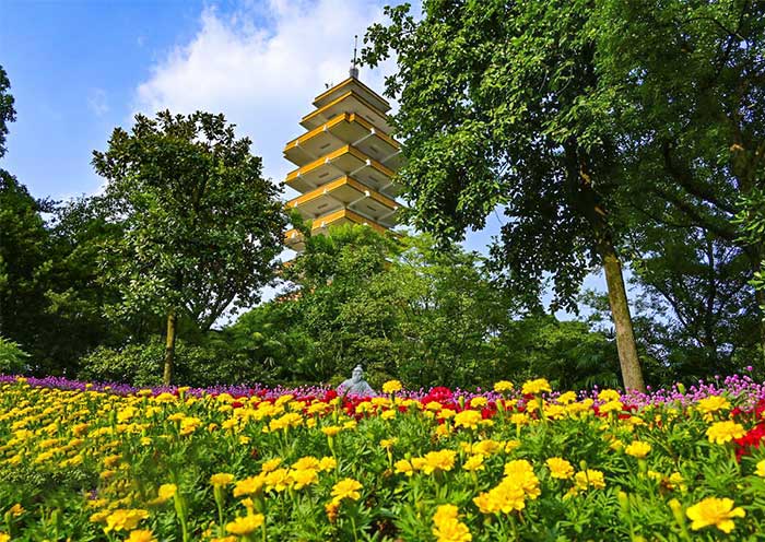 重庆鹅岭公园