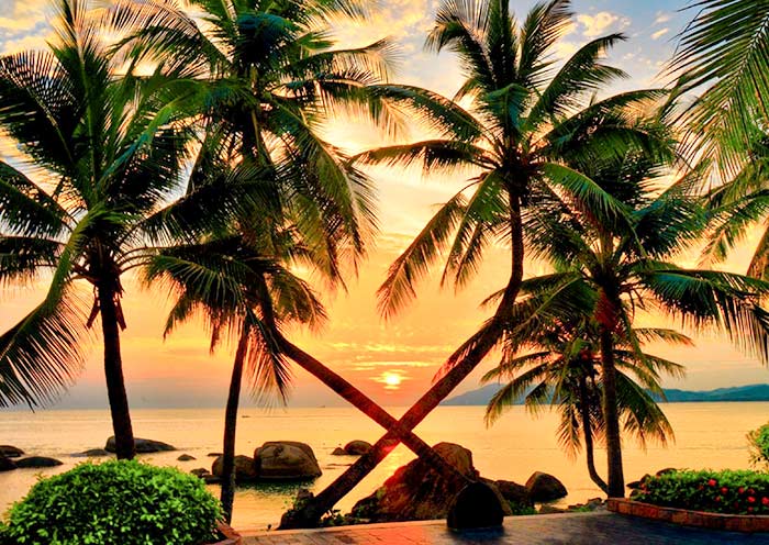 三亚椰梦长廊迷人落日