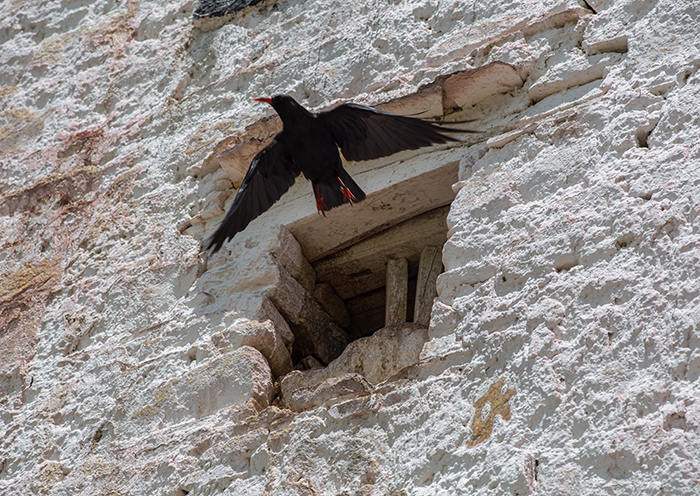 Day5-Up to the hill of Drigung Til monastery, there is one of the holiest sky-burial site in Lhasa region.