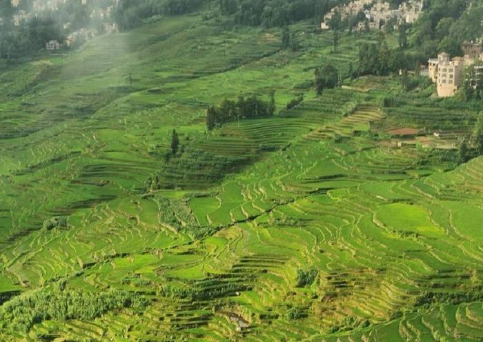 Day 3 - Surrounded by the cloud for over 200 days a year, the Duoyishu Terraced Field looks like a traditional Chinese wash painting.
