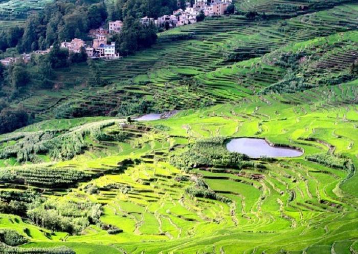 8 días y 7 noches       Viaje de exploración a las minorías de Yunnan