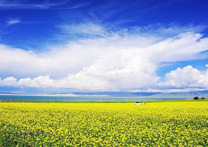 1-Day Xining Short Break to Qinghai Lake