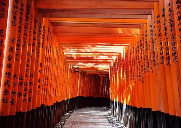 6 días y 5 noches    Viaje grupal a Japón