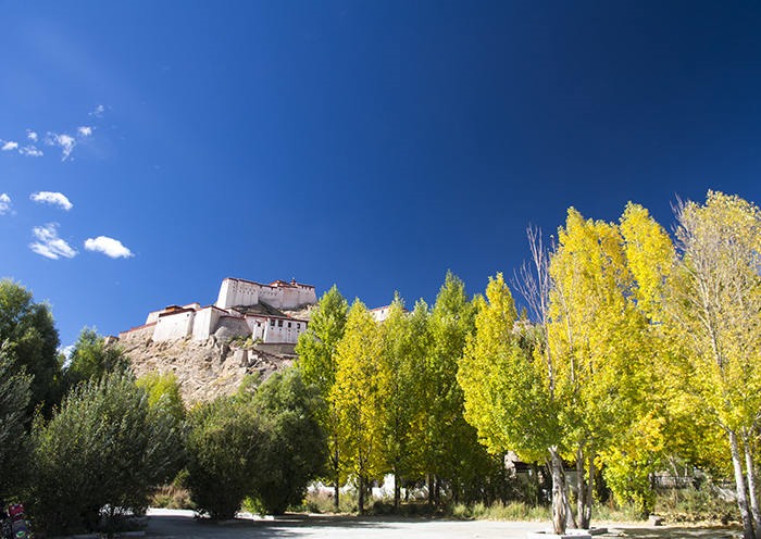 Day 10  The Gyantse Dzong, a 14th century fort that provided defenses for the city for centuries. 
