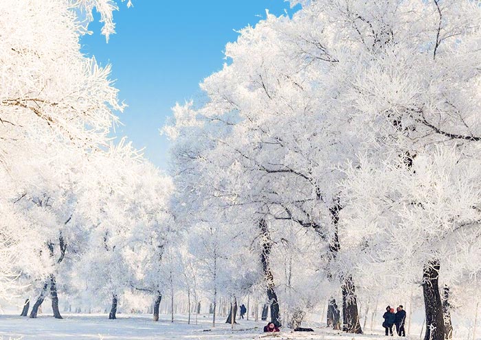 吉林雾凇岛奇观