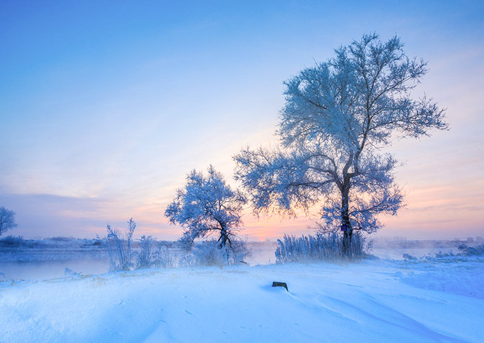 吉林雾凇岛美景