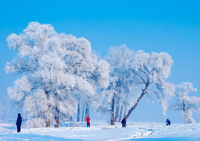 吉林雾凇岛美景