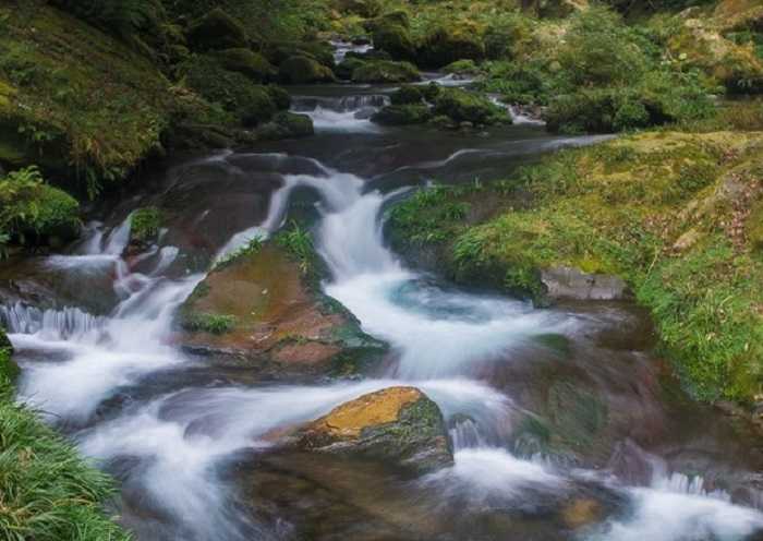7 días 6 noches      &nbspCrucero y Tour Avatar