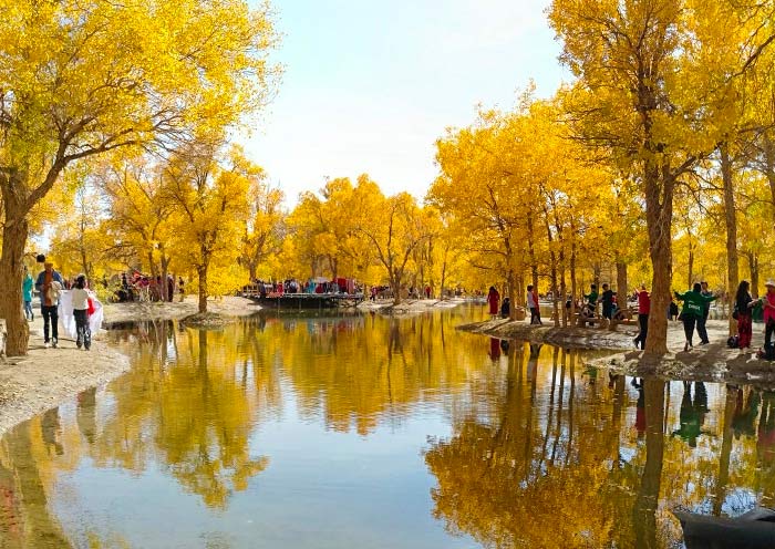 2025甘肅旅遊最佳季節指南,帶您解鎖甘肅四季美景和人文奇景