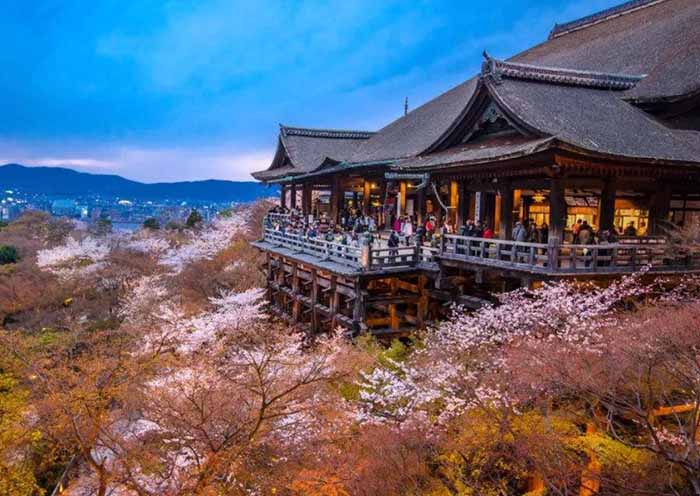 7 días y 6 noches    Viaje de exploración a Japón de desde Osaka