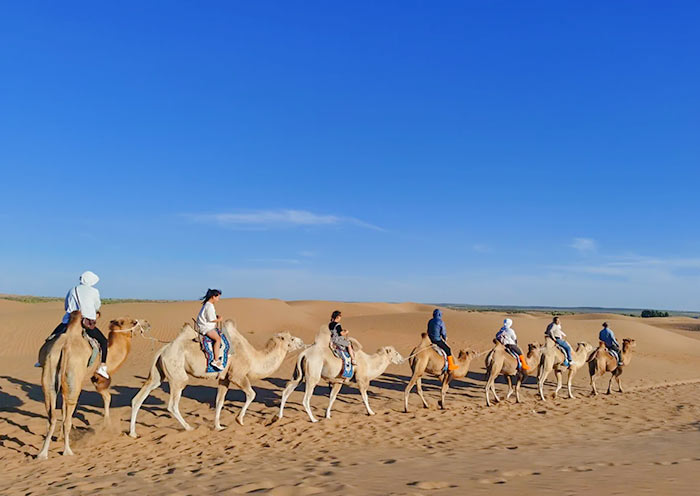 库布齐沙漠夜鸣沙骑骆驼体验