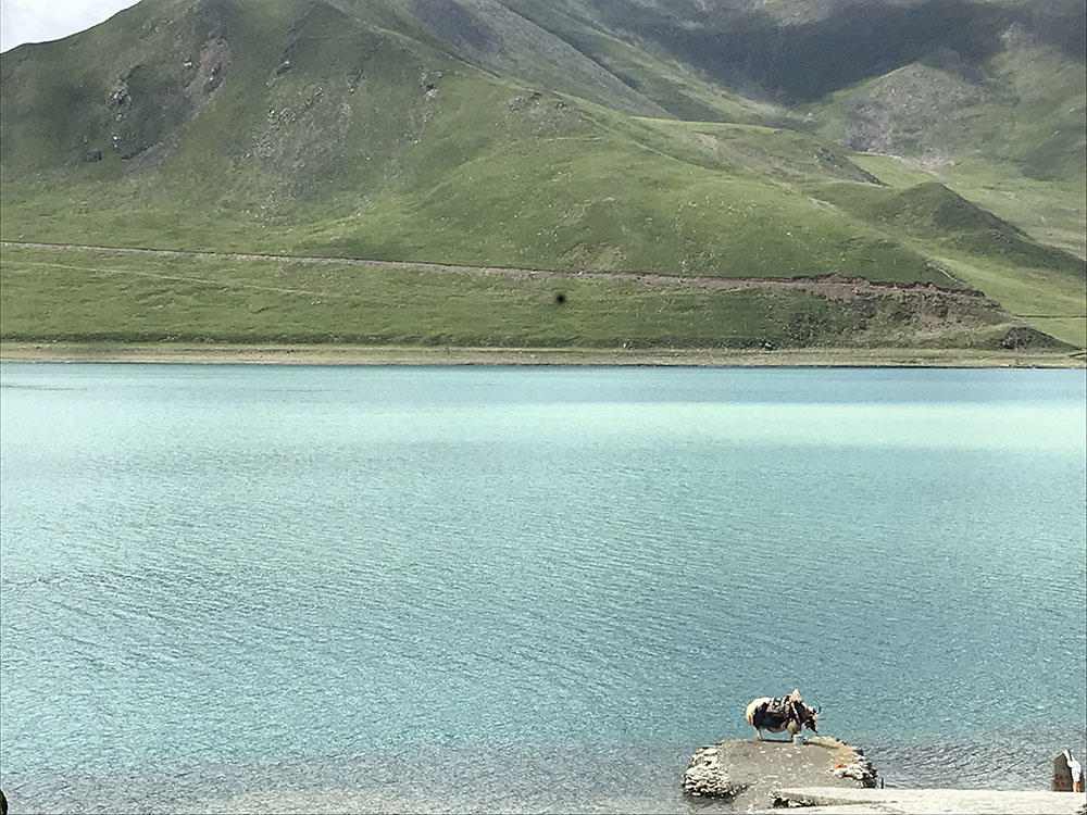 Day 6  Lake Manasarovar is revered as a sacred place in four religions: Bön, Buddhism, Hinduism and Jainism.
