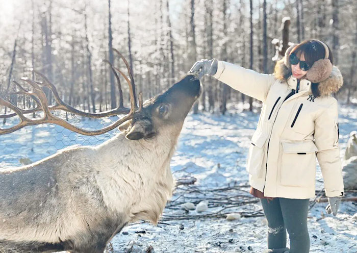 漠河北极村驯鹿园