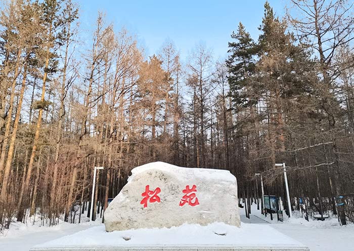 漠河松苑公园