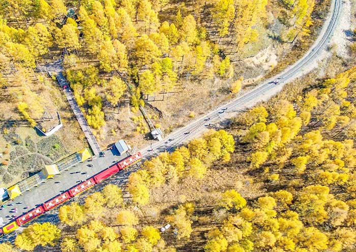 莫尔道嘎国家森林公园