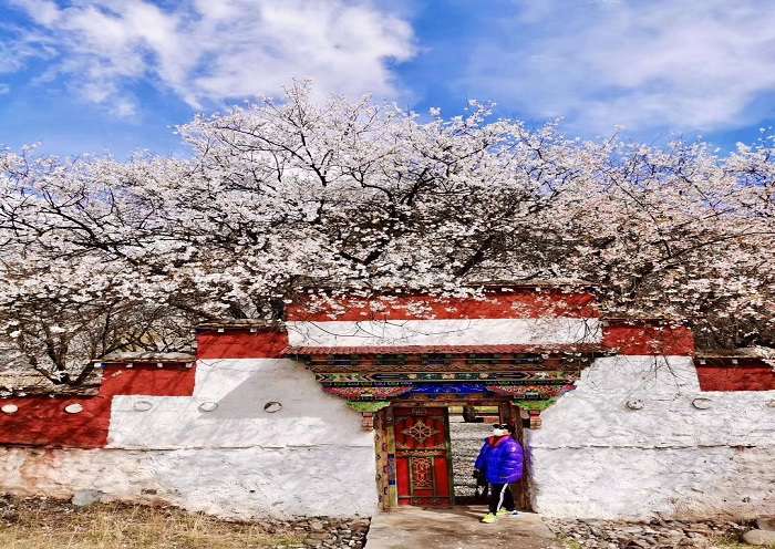 Day1-Nyingchi,is a prefecture-level city in southeast of the Tibet
