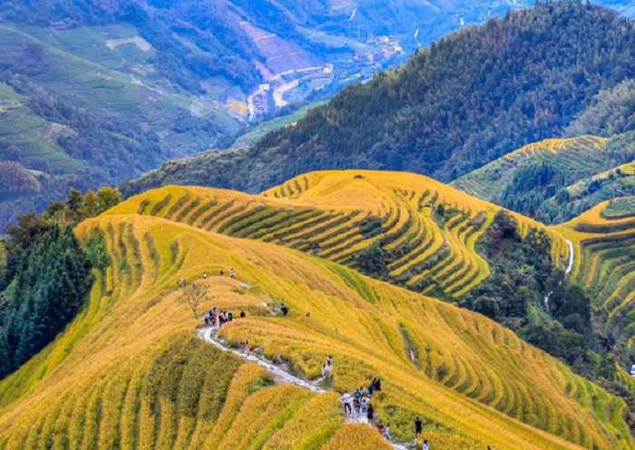Viaje de un día al campo  terrazal  de Longji