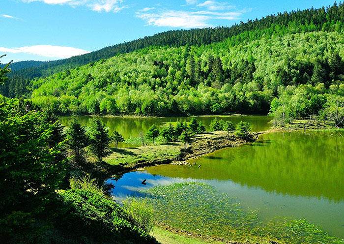 8-Day Kunming Dali Lijiang Shangrila Tour Package